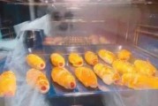 娱乐吃瓜小火锅,揭秘娱乐圈背后的秘密与趣味